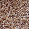 Bamboo Rice